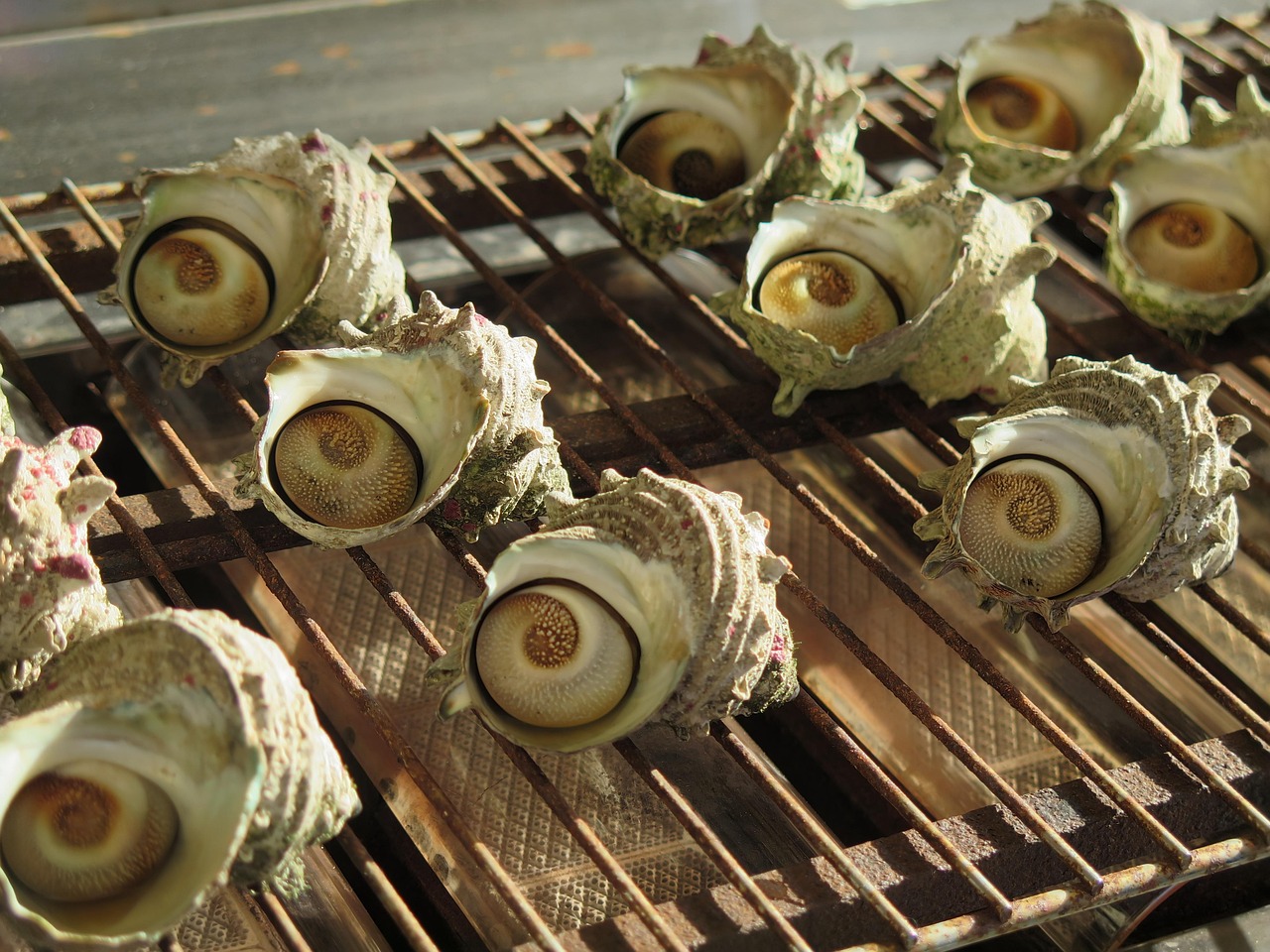 风中雨荷 第6页