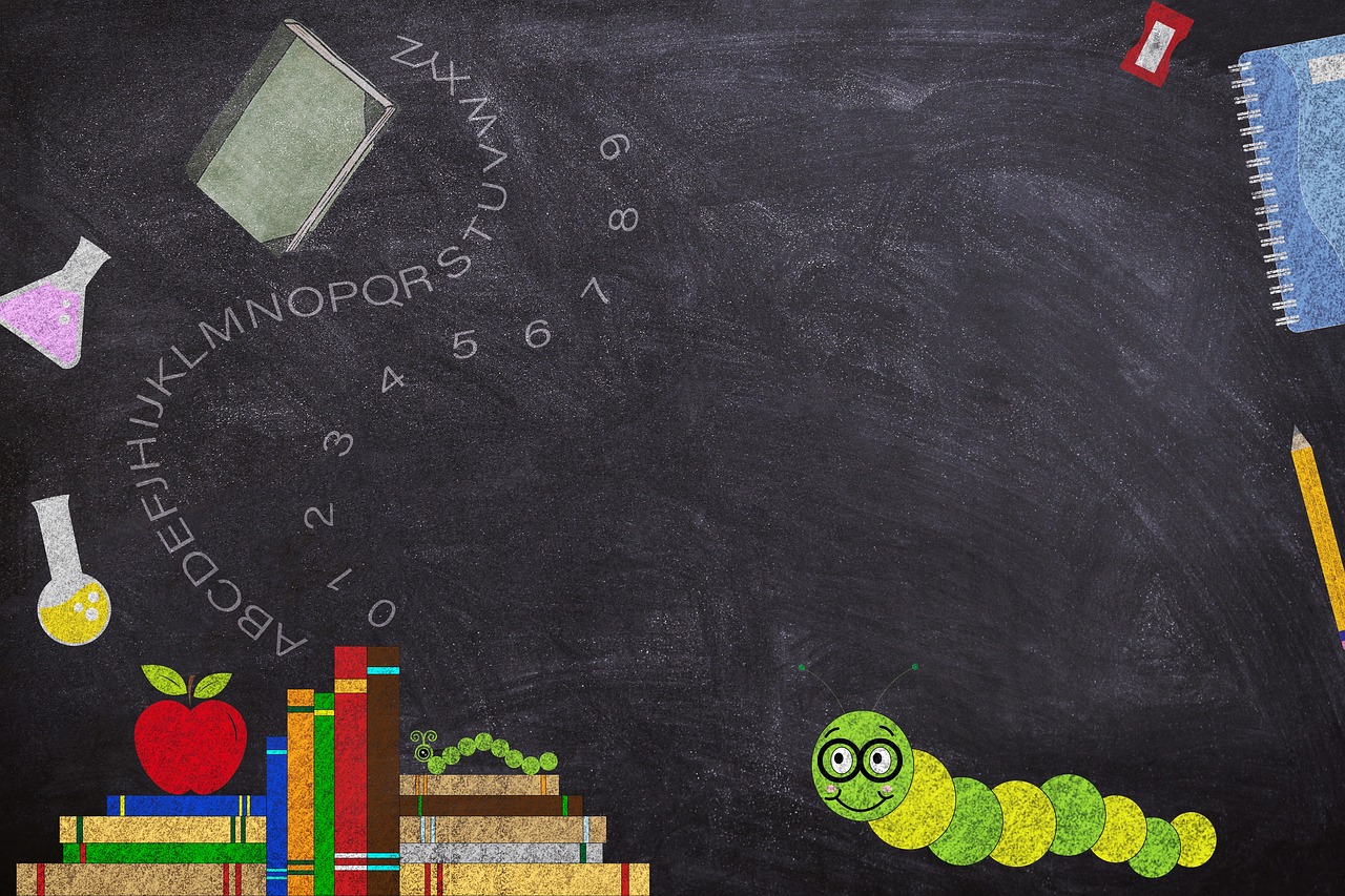 蝗灾最新纪实图,灾难现场与全球应对的见证时刻