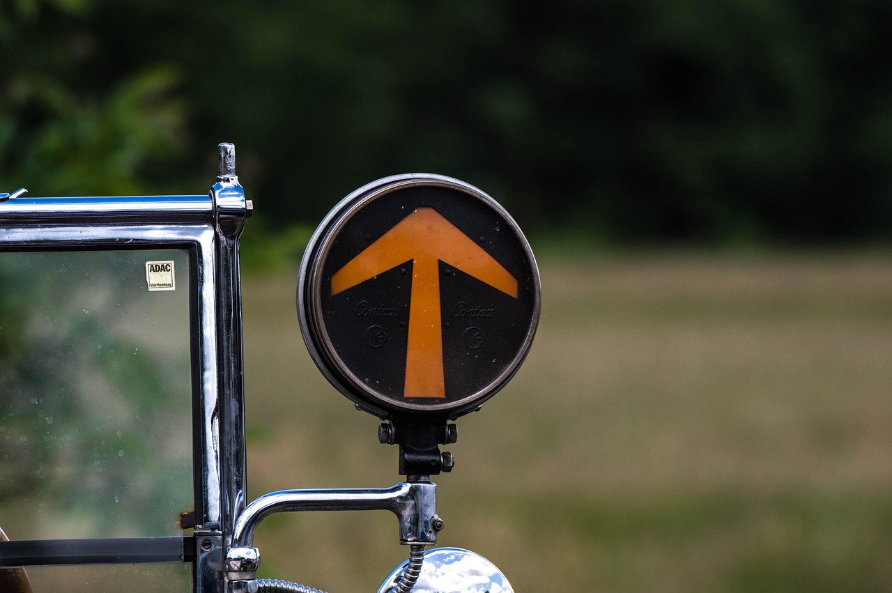 天然林最新动态,保护、恢复与发展的现状与趋势