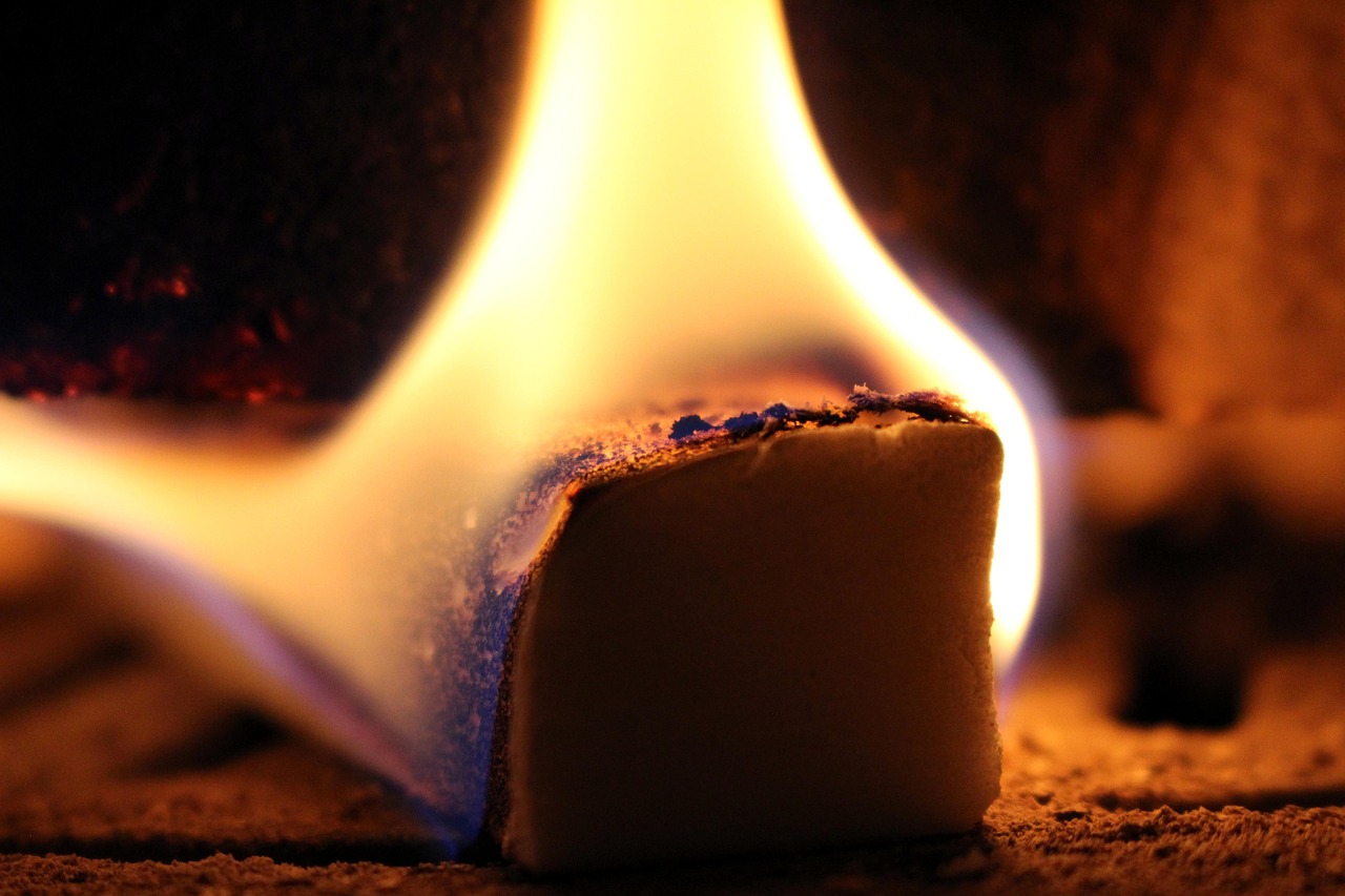 地球与月球的运行奥秘探索,揭示运行之秘密