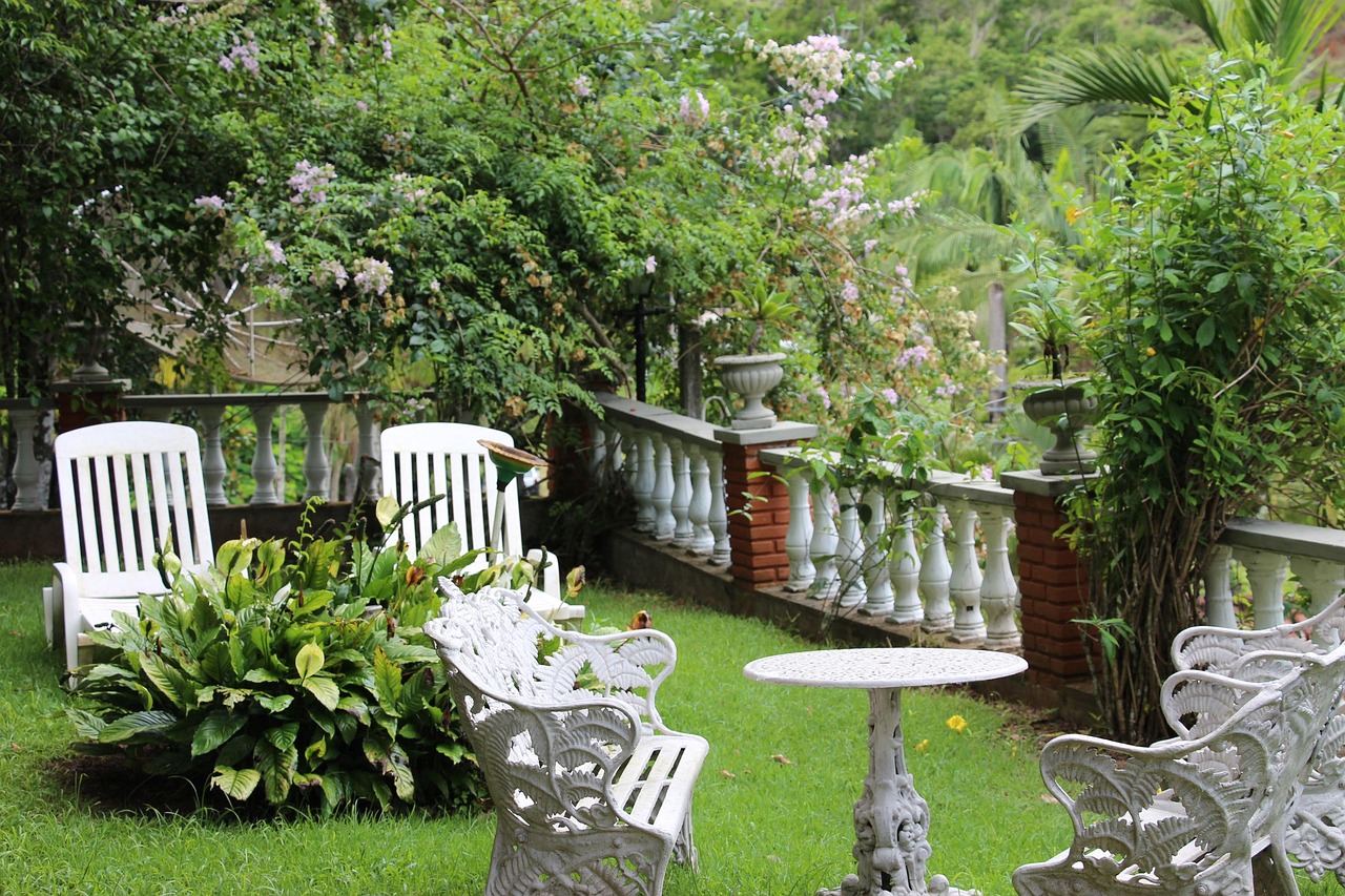 白皮松最新行情深度分析与展望