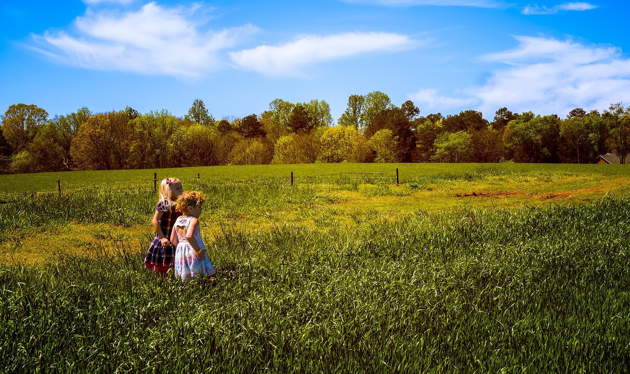白皮松最新行情深度分析与展望