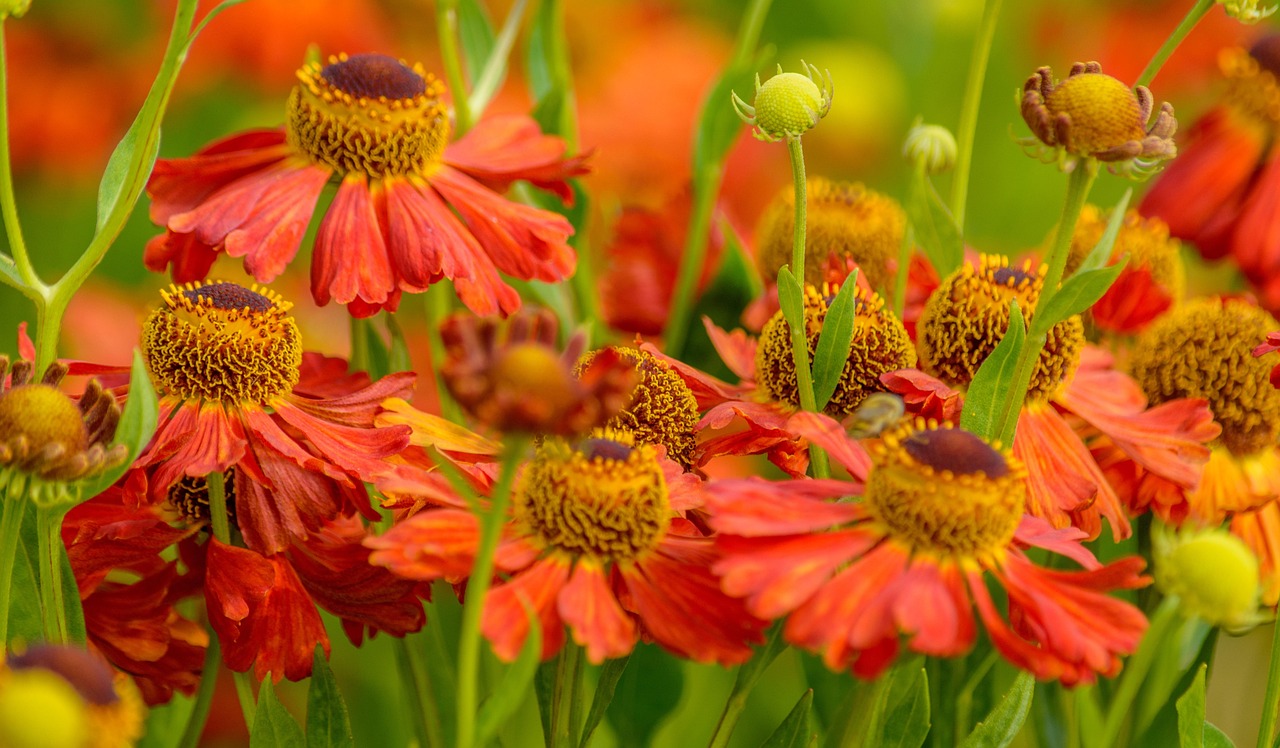 最新早晨问候微信图片,开启美好一天的温馨问候图片