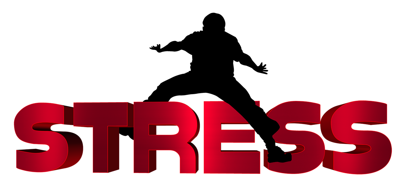 阳江最新招聘信息与职业发展机遇揭秘