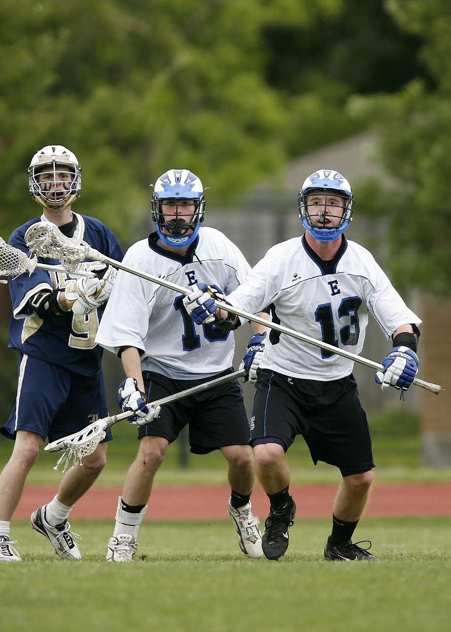 菏泽魏楼水库最新动态,发展与保护的和谐共进