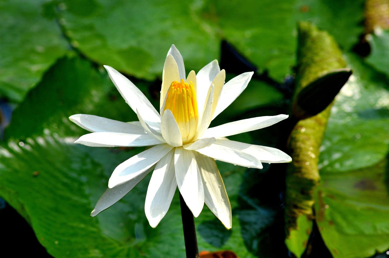 贞丰县人事任免动态,深度解析与最新进展