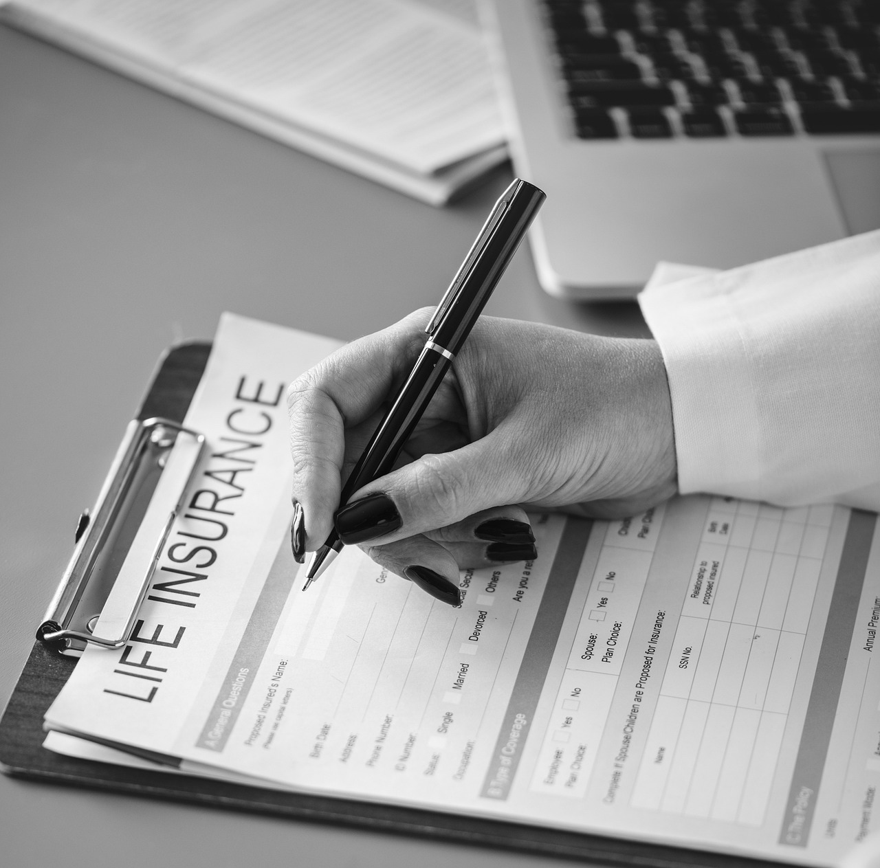 精选清明作文,怀念与感恩的交织