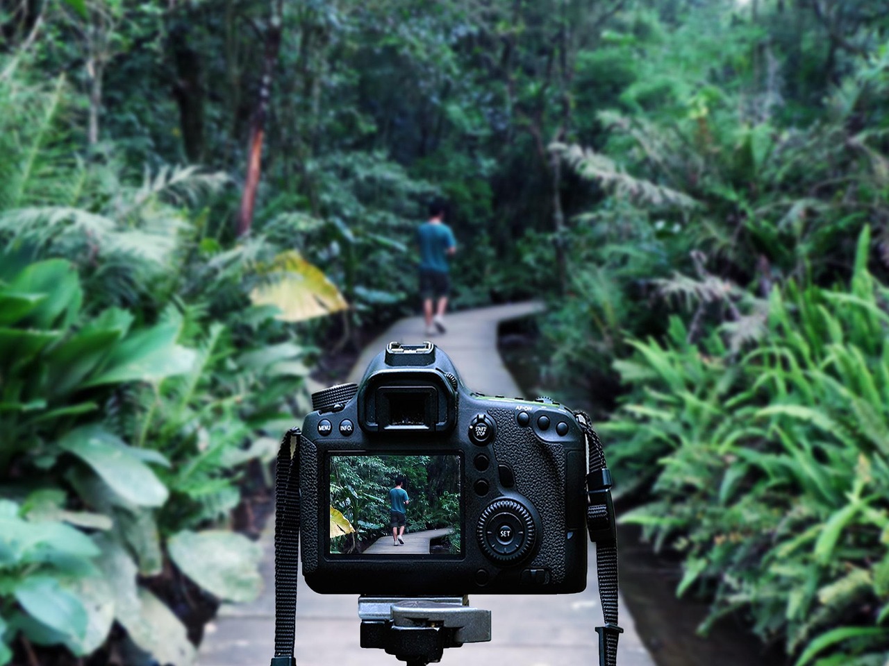 嫩江贴吧最新动态探索与发现之旅