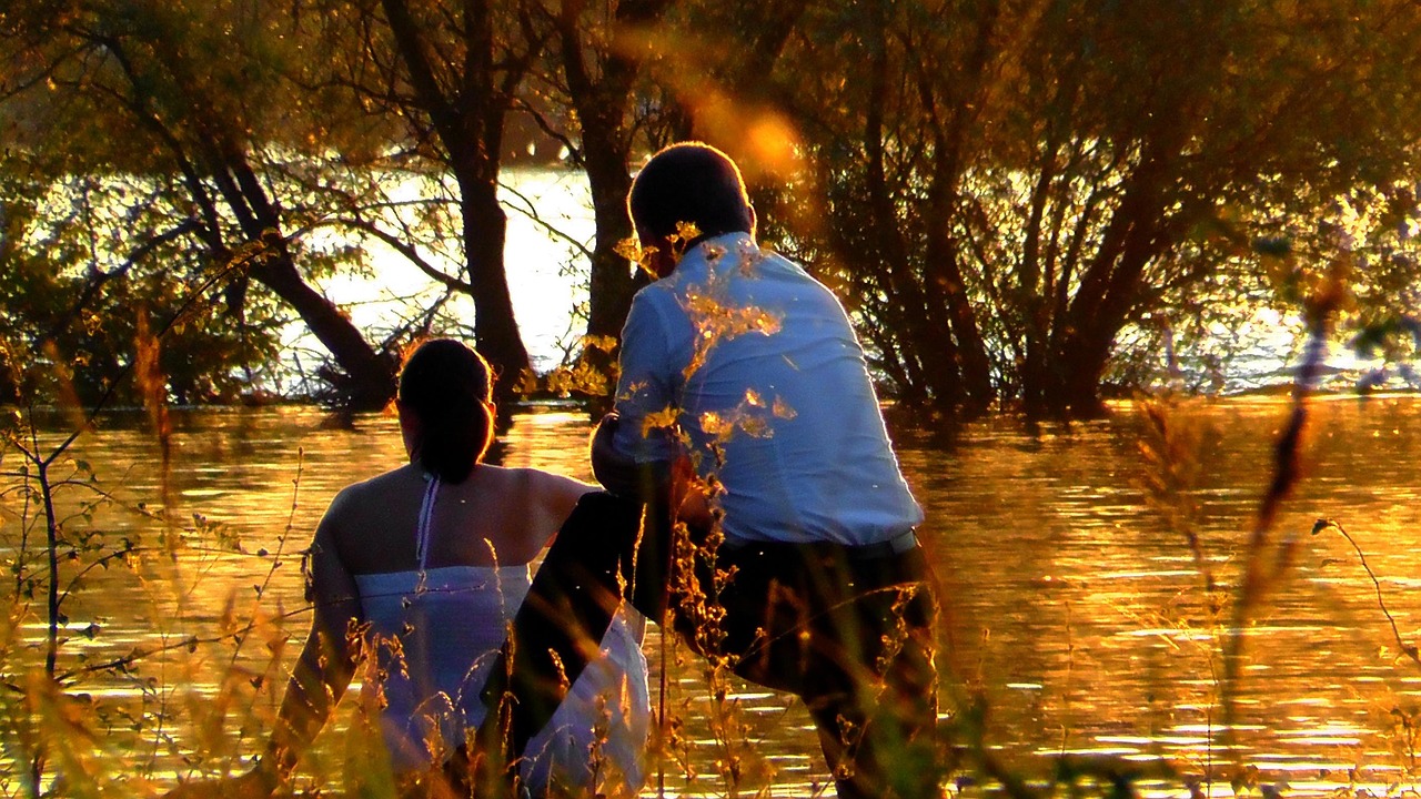 后宫电视剧插曲纯音乐,情感与氛围的交织之美