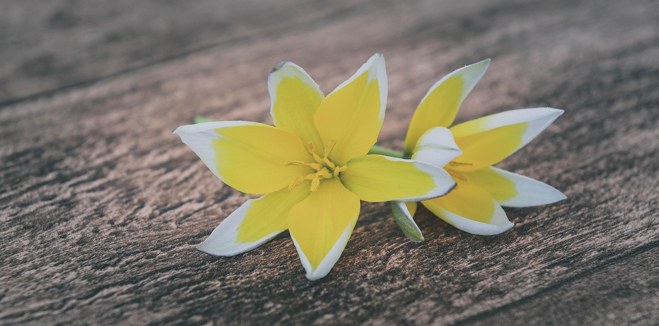 宜丰最新资讯概览,最新动态一网打尽