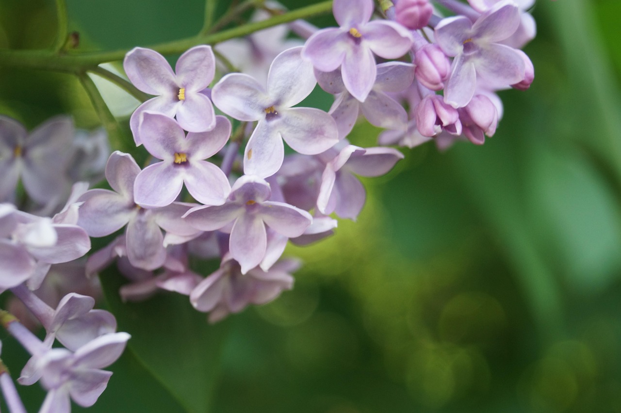 九江长江一桥最新动态,开启崭新篇章与发展展望