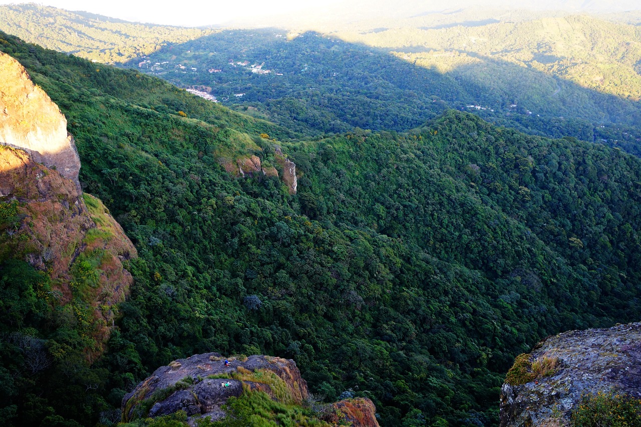德安县公安局领导最新动态更新,最新行动与成果速递