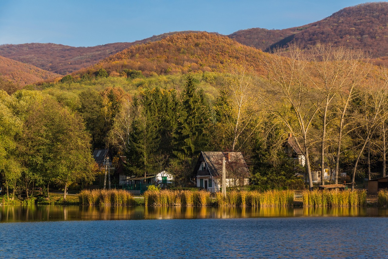 安国最新中药材行情概览与动态分析