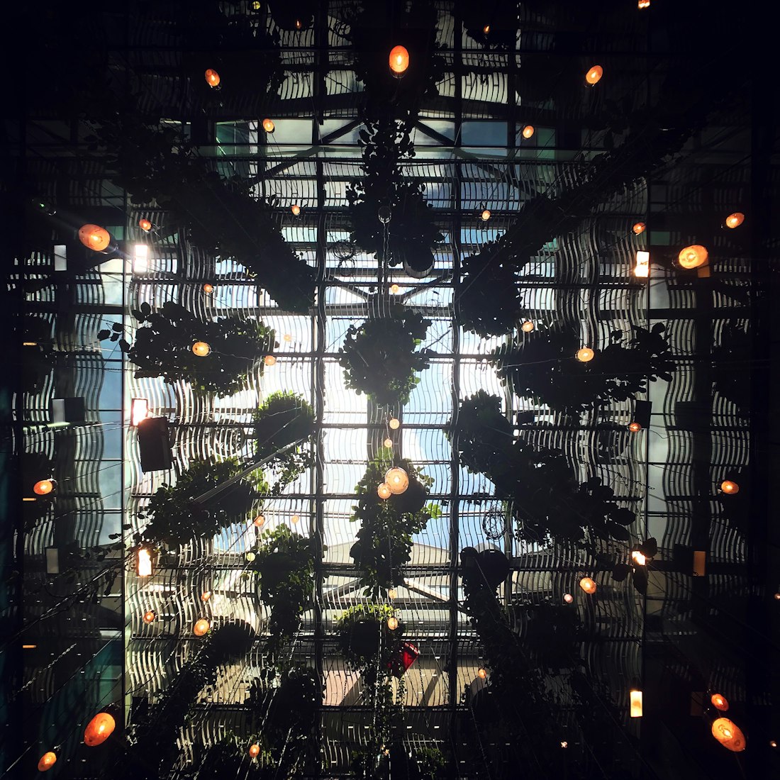 数字时代的影像艺术探索,AV视频电影