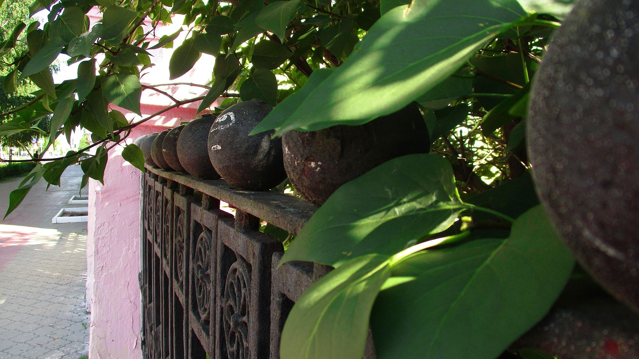 上海台风最新动态,多方联动共筑城市安全防线