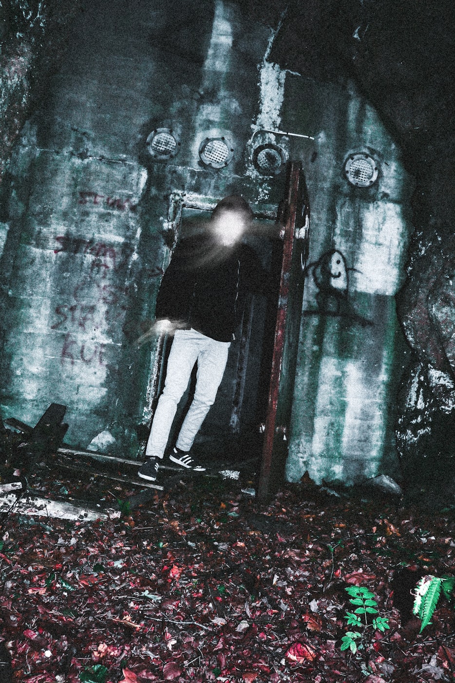 韩国秘书电影,揭示职业女性复杂世界的探索之旅