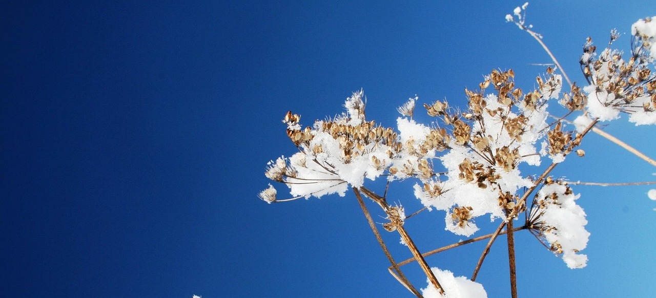 经典动漫,跨越时代的艺术魅力