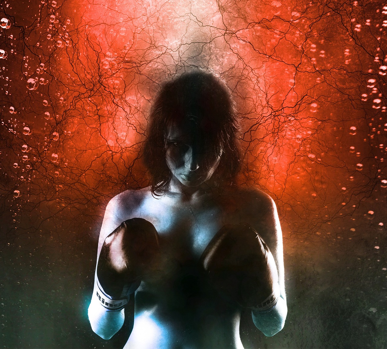 美国女子WWE拳击比赛,力量与荣耀的较量