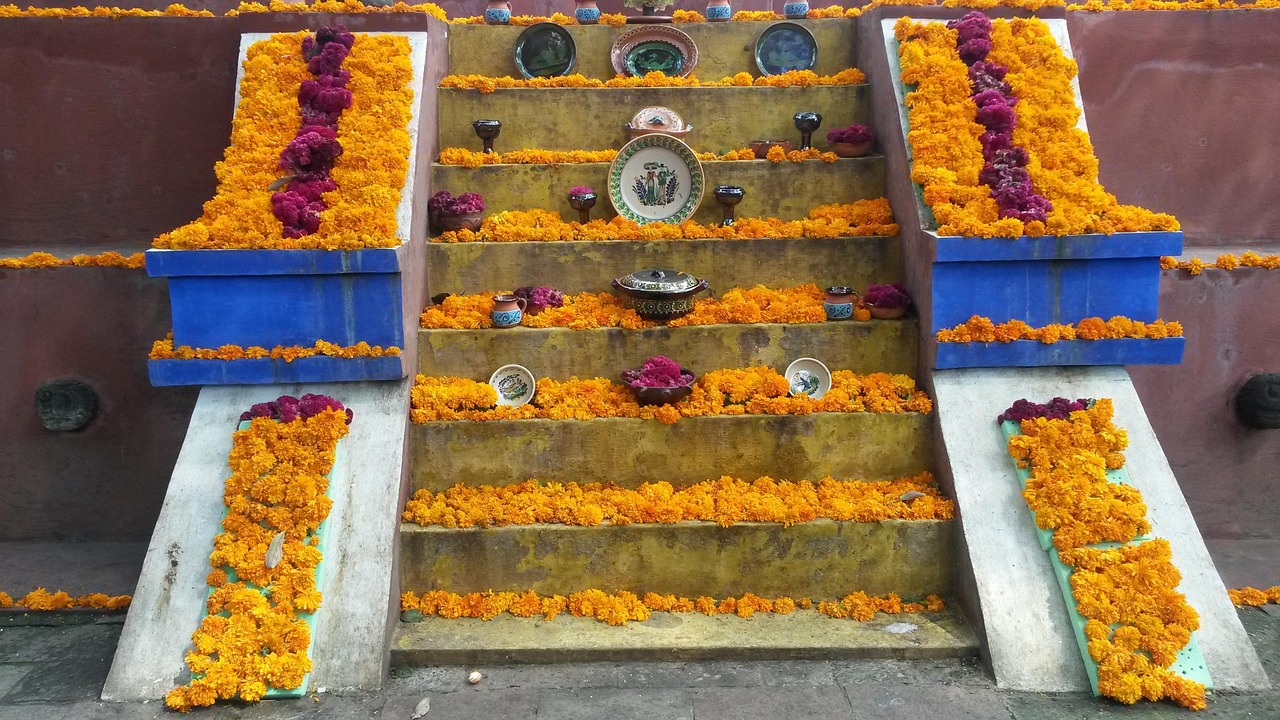 Storj最新动态引领分布式存储革新篇章