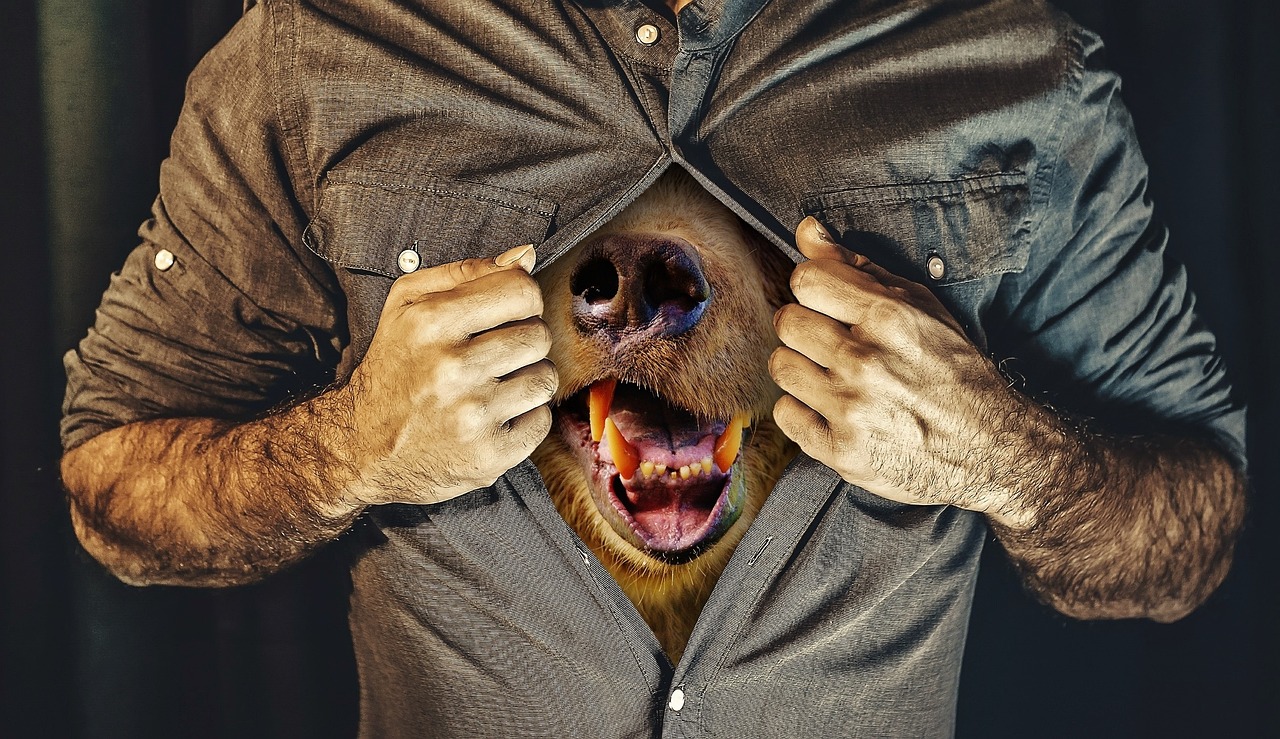 夏了南城 第6页