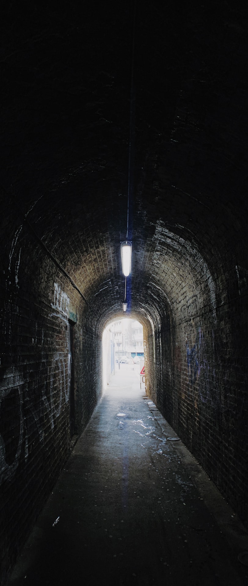 浮生三月初 第5页