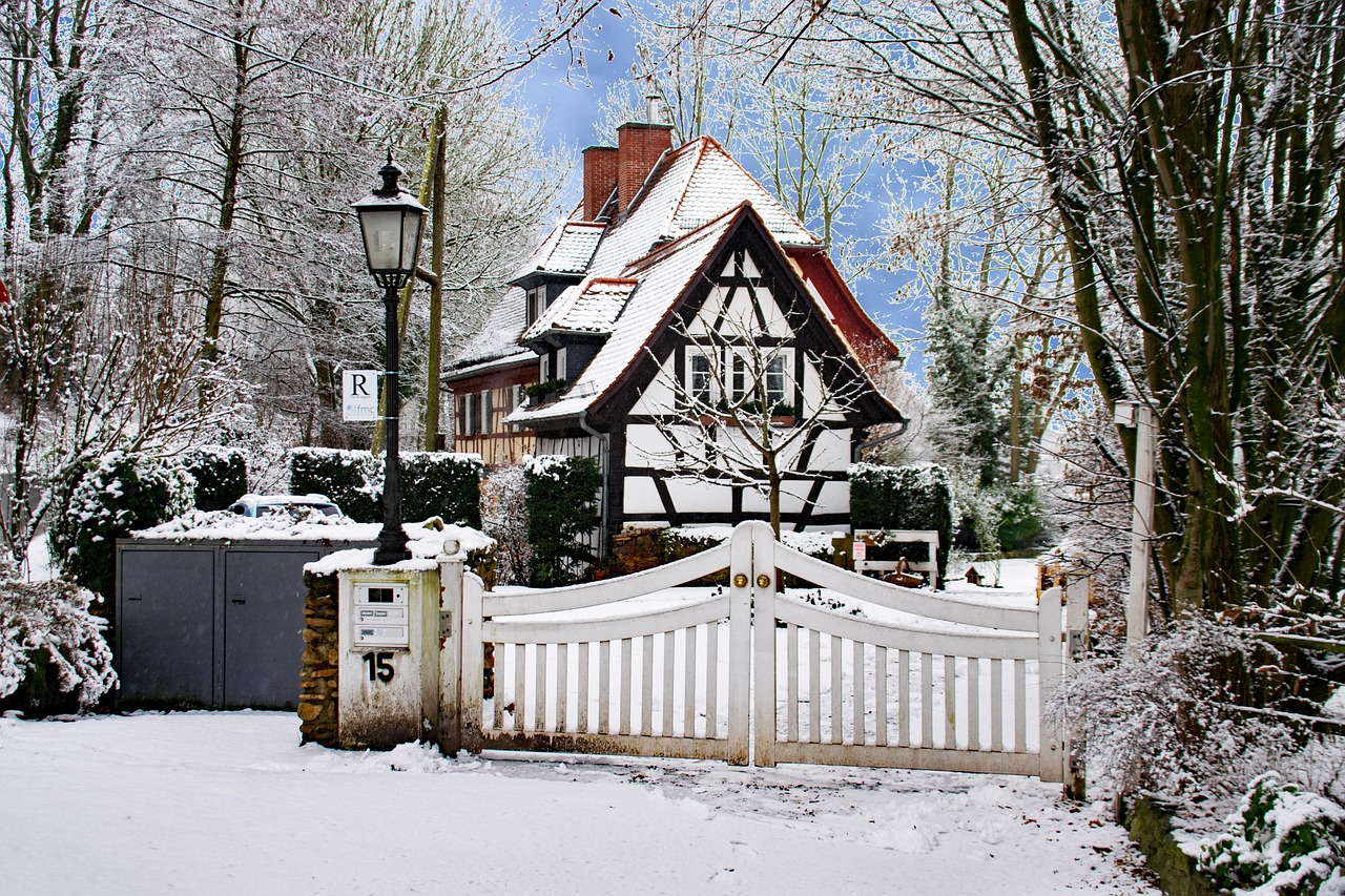 庐山新资讯,自然美景与文化底蕴的完美交融之地探索