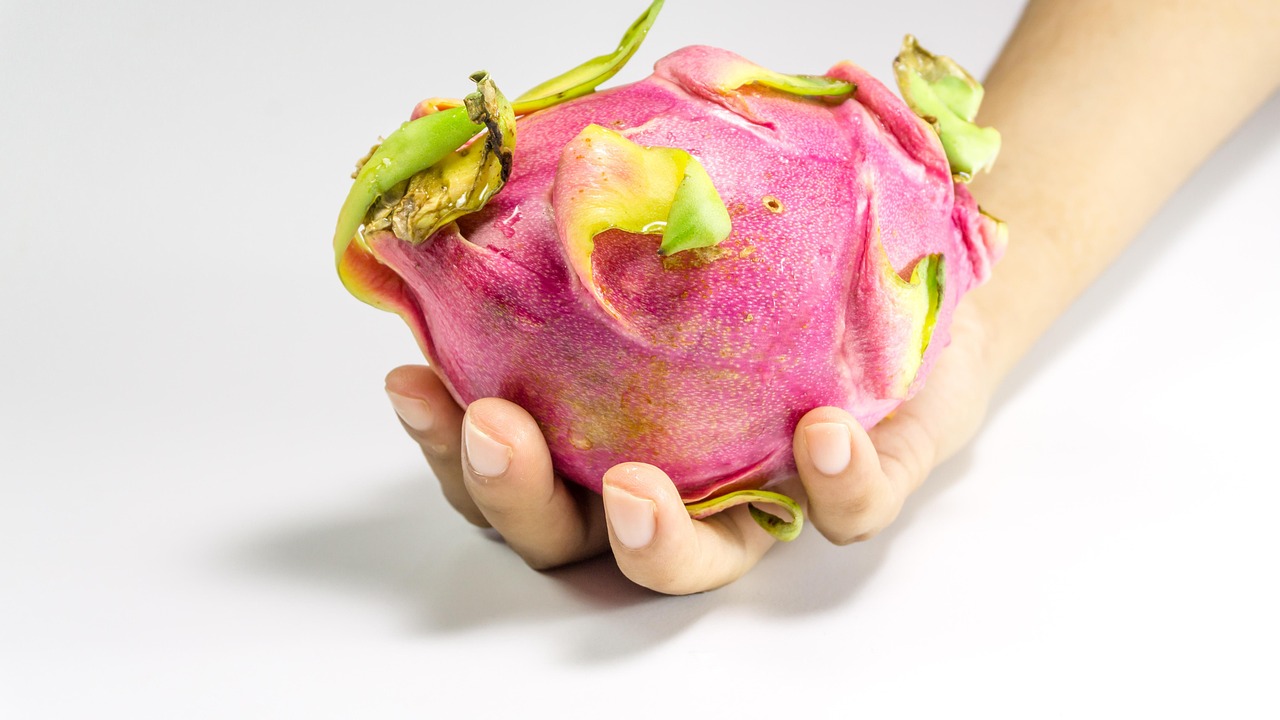 YY小白龙最新动态,成长轨迹揭秘与未来展望