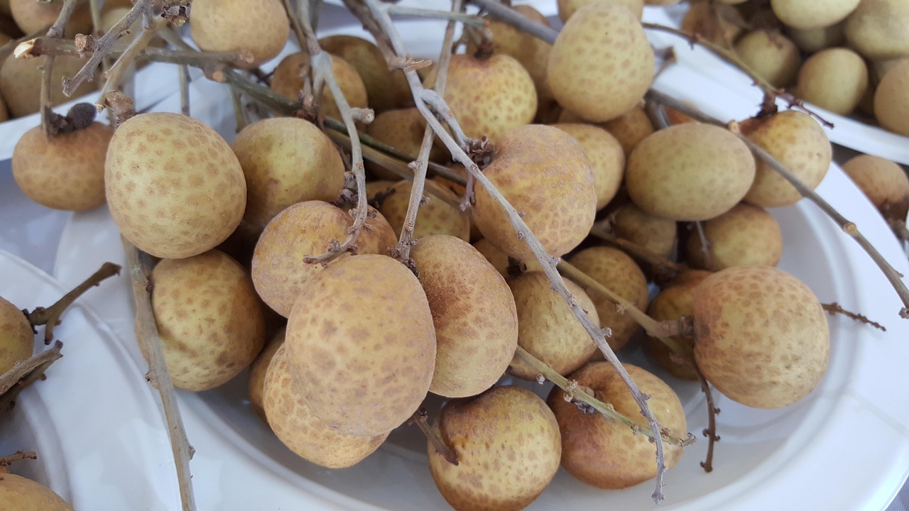 YY小白龙最新动态,成长轨迹揭秘与未来展望