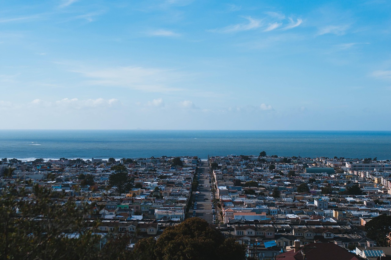 2019台湾选举最新动态,多元格局下的政治风云变幻揭秘。