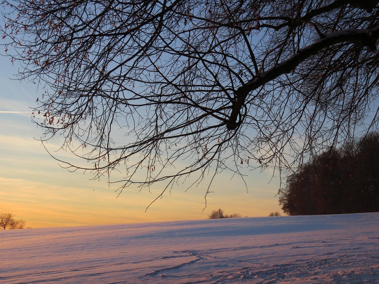 中国最新寒潮来袭,影响及应对措施