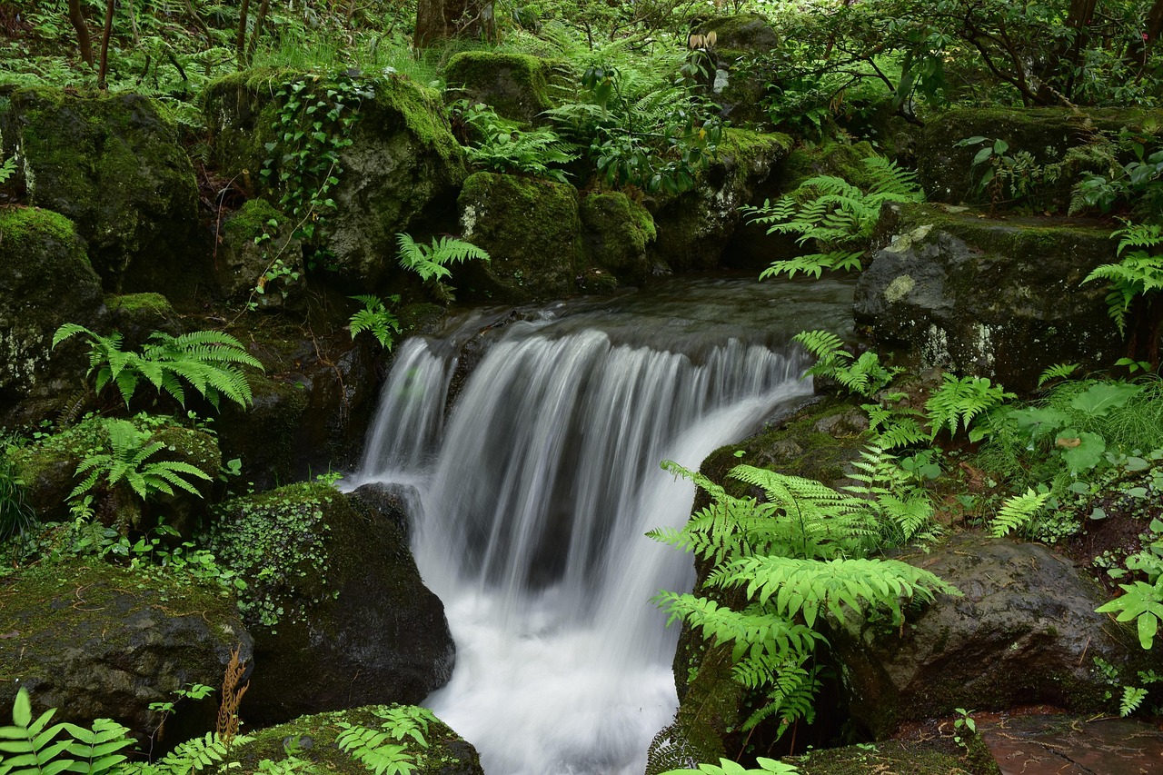 彩塘环境整治进展,迈向绿色生态新篇章的蜕变之路