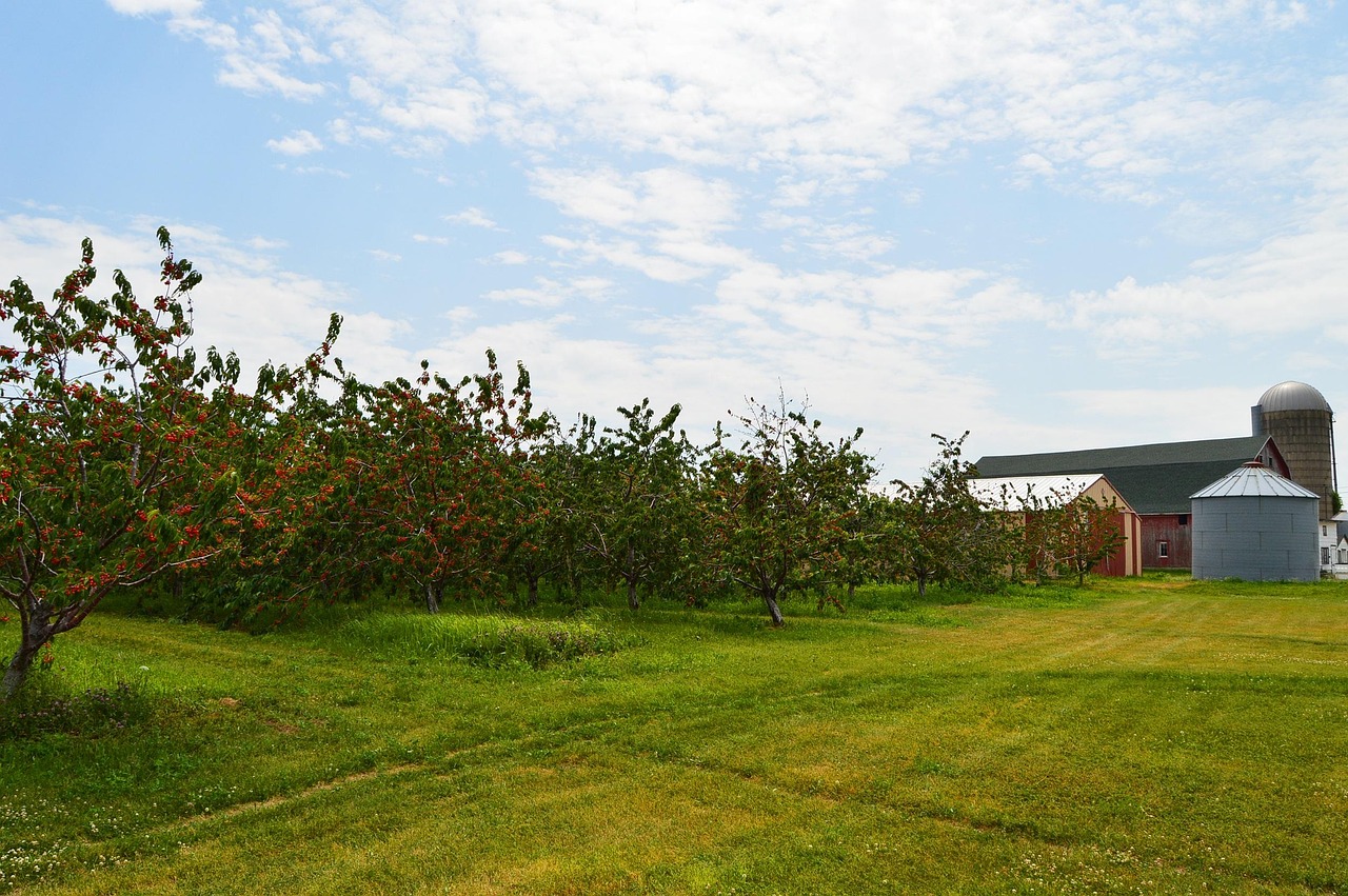 彩塘环境整治进展,迈向绿色生态新篇章的蜕变之路