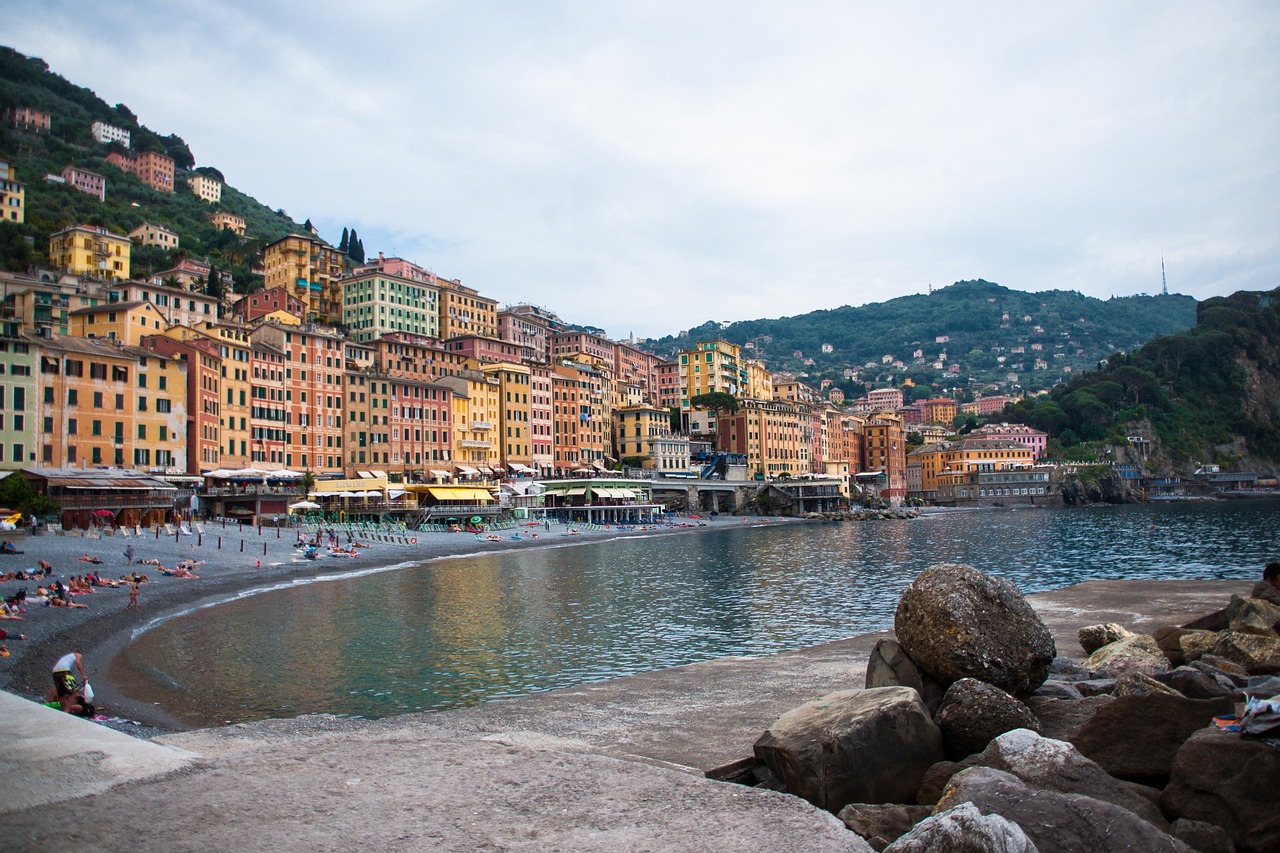 今日芹菜价格信息,市场分析、趋势预测与实时动态更新