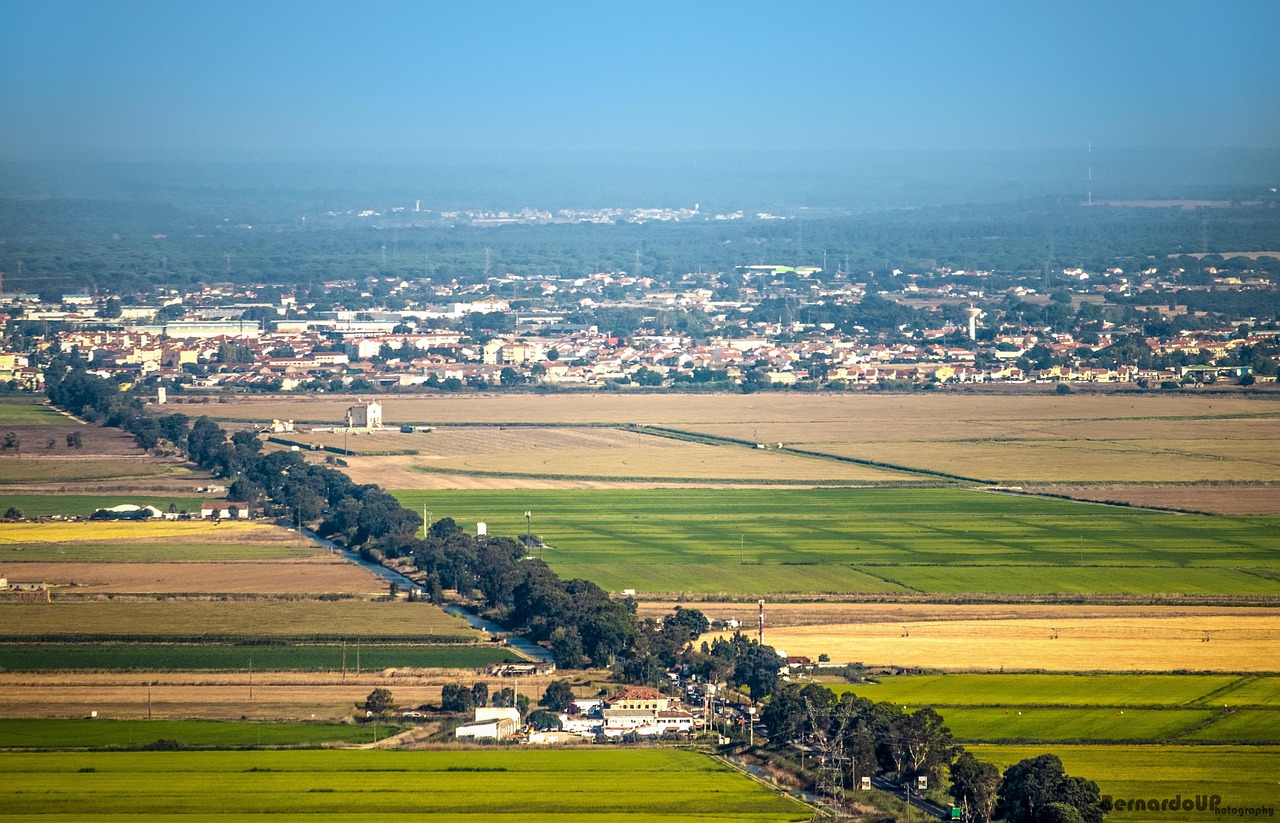高淳土地出让最新动态,推动城市发展与产业升级的新动力