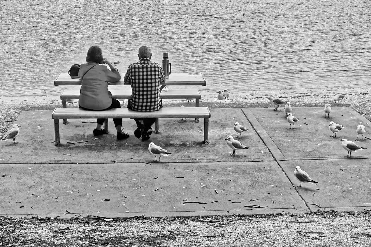 海鸥动漫图片的魅力与影响,探索图片背后的故事与情感冲击