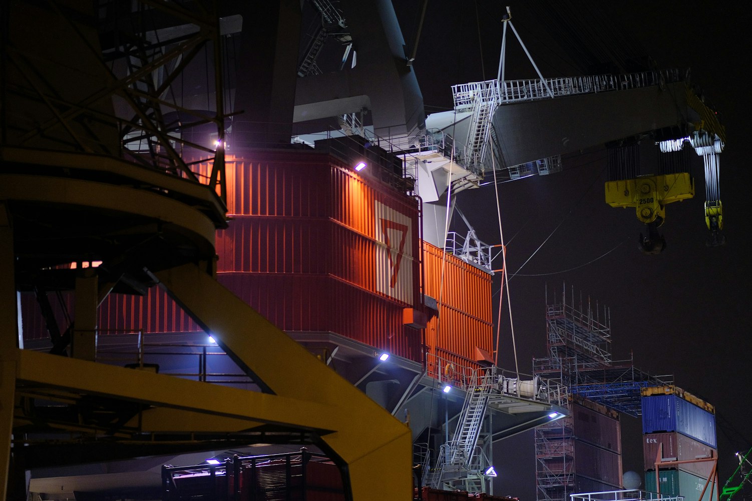 杨紫新动态，演艺事业的蓬勃发展及多元领域跨界突破