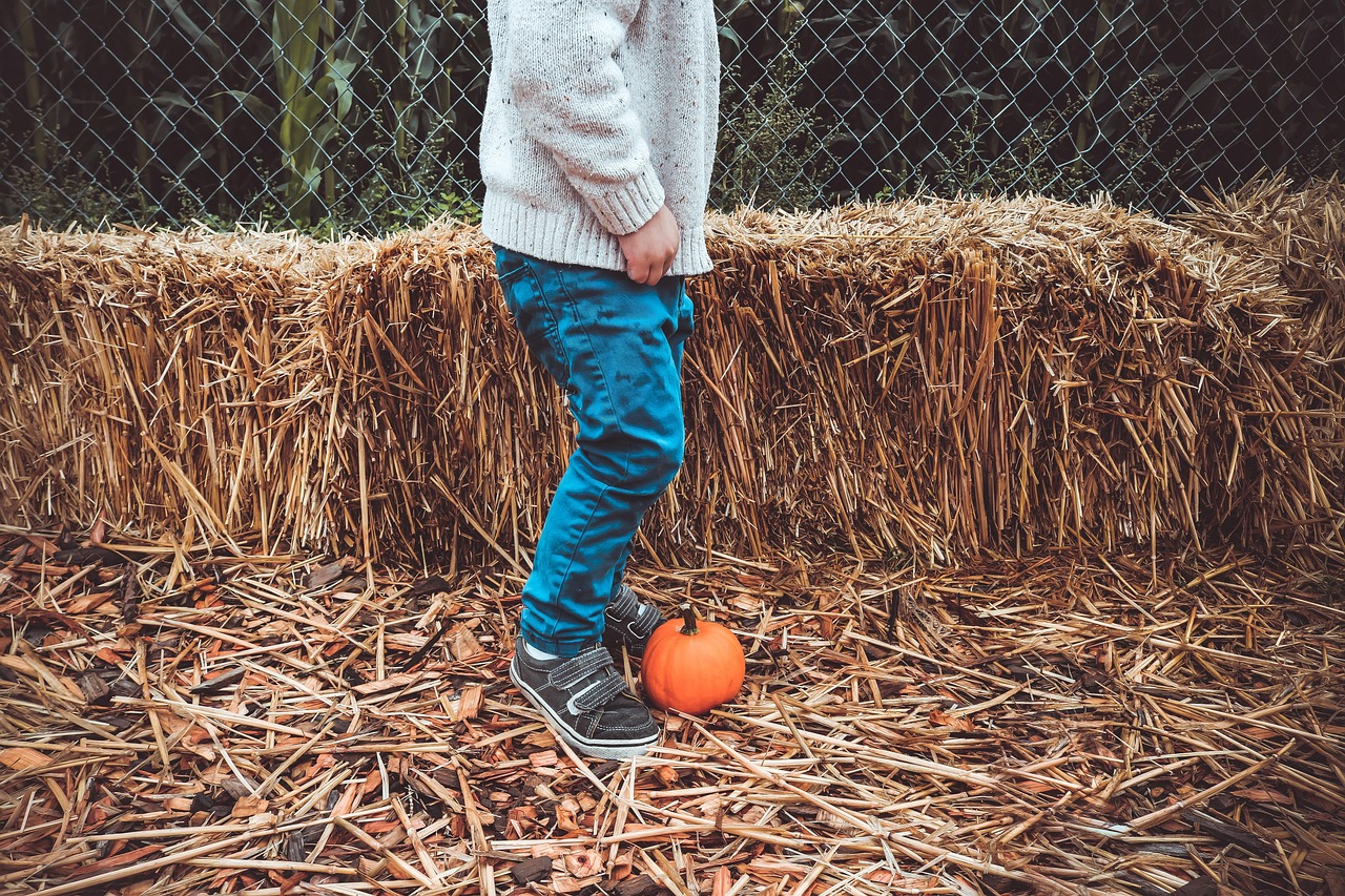 儿童钓鱼比赛,乐趣与技能共融的亲子活动体验