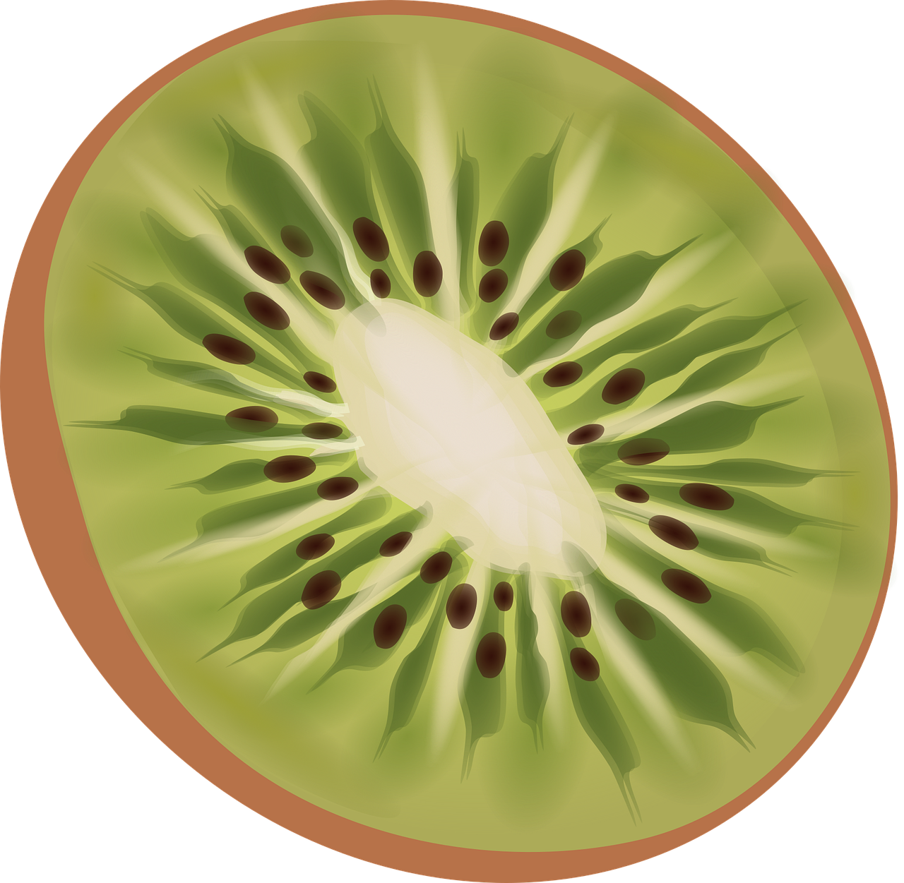 水果动漫,从果实到动画世界的奇幻冒险之旅