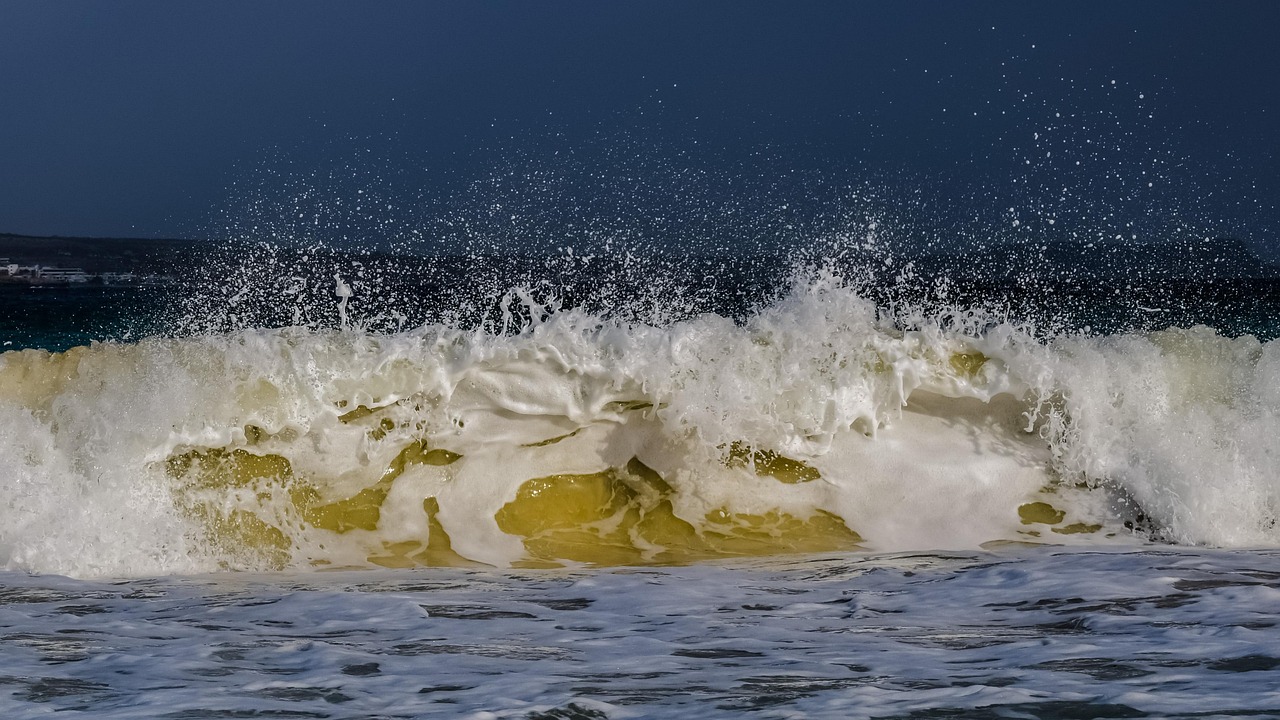 最新开心水族箱版,开启海洋探索新篇章
