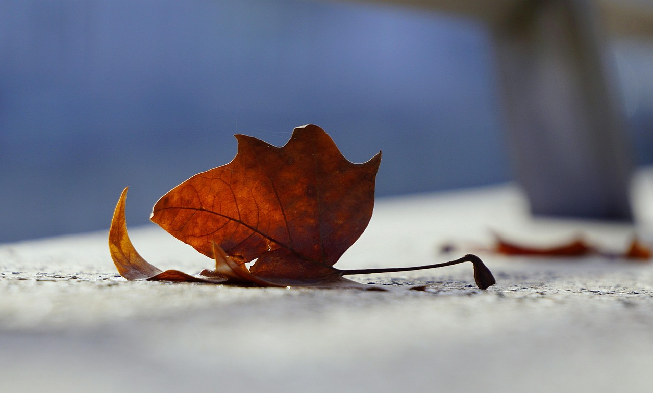 灌云五农景苑最新动态速递