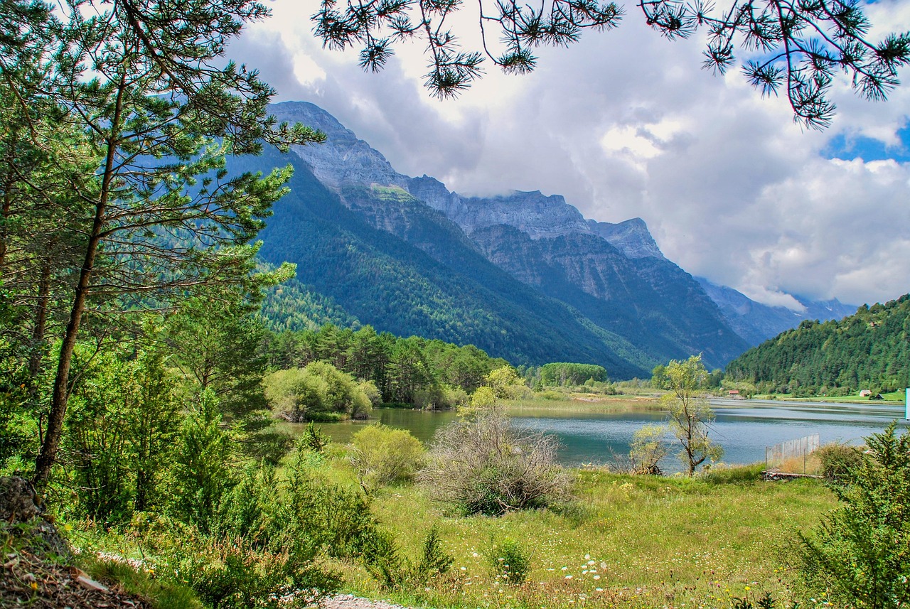 灌云五农景苑最新动态速递