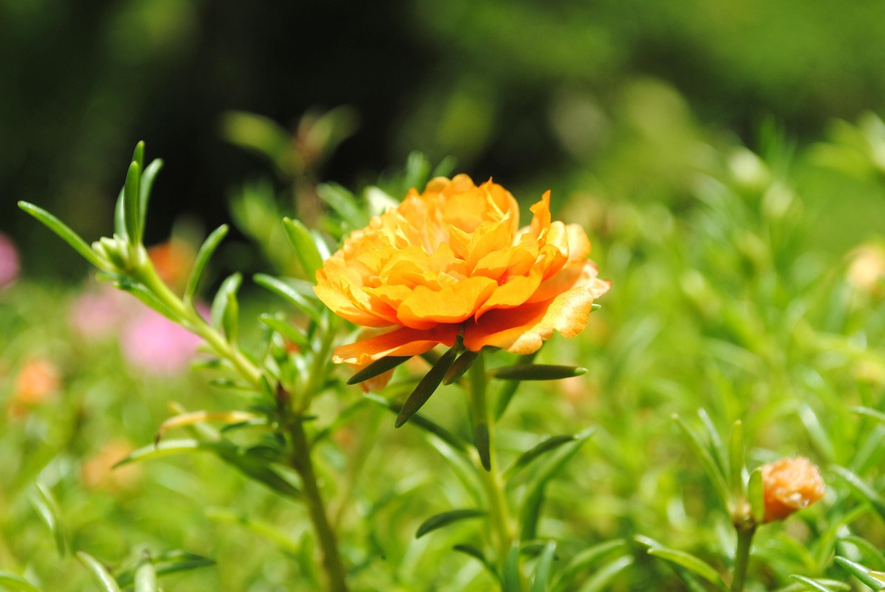 盐东镇最新动态,蓬勃发展中的新篇章开启