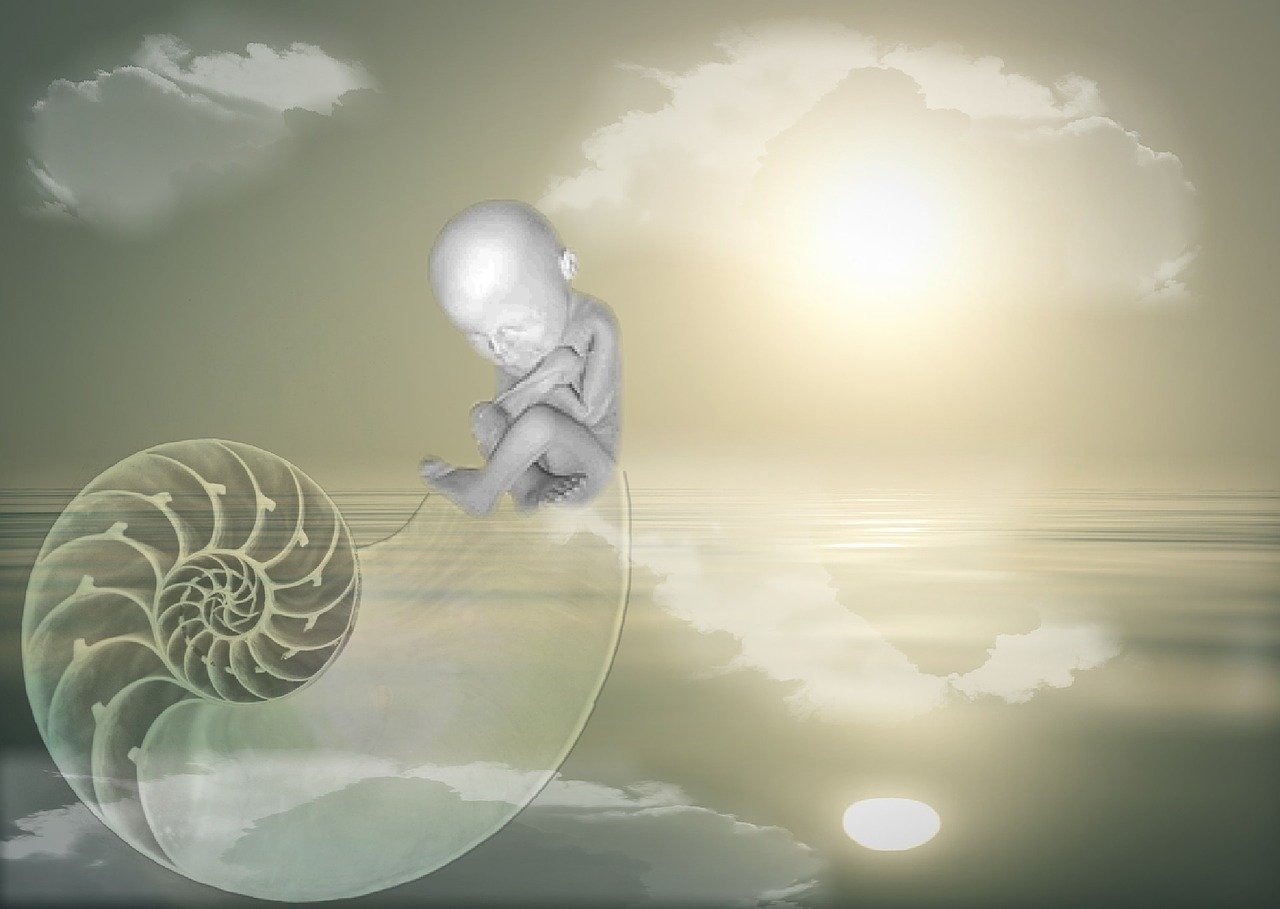 最新温馨祝福语,瞬间传递爱与温暖的情感交流