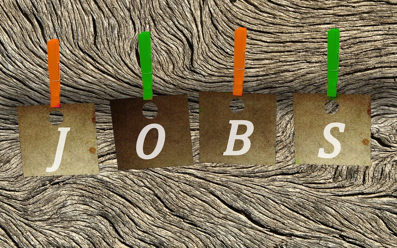 奉化人才市场最新招聘动态深度解析与求职指南