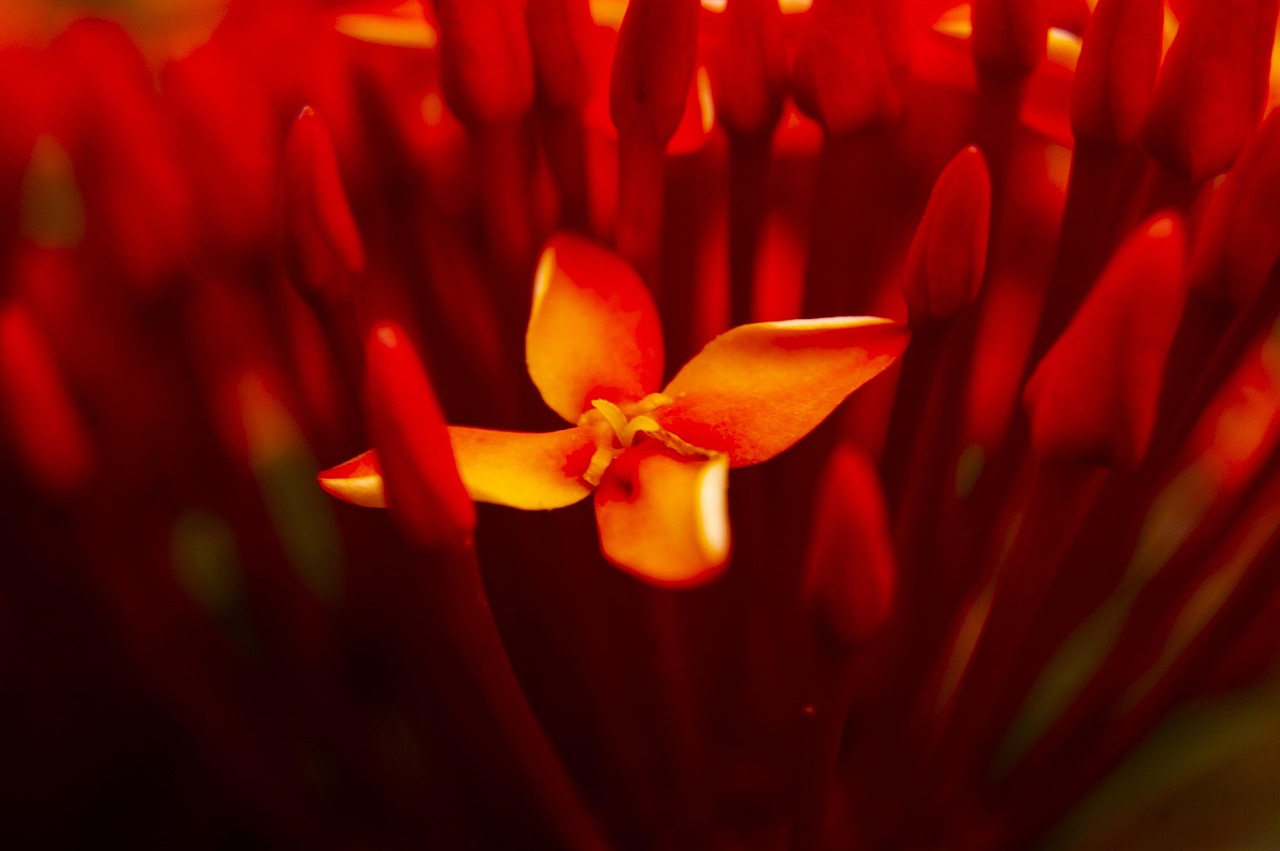 最新早安问候语,温馨寄语,开启美好一天的大门