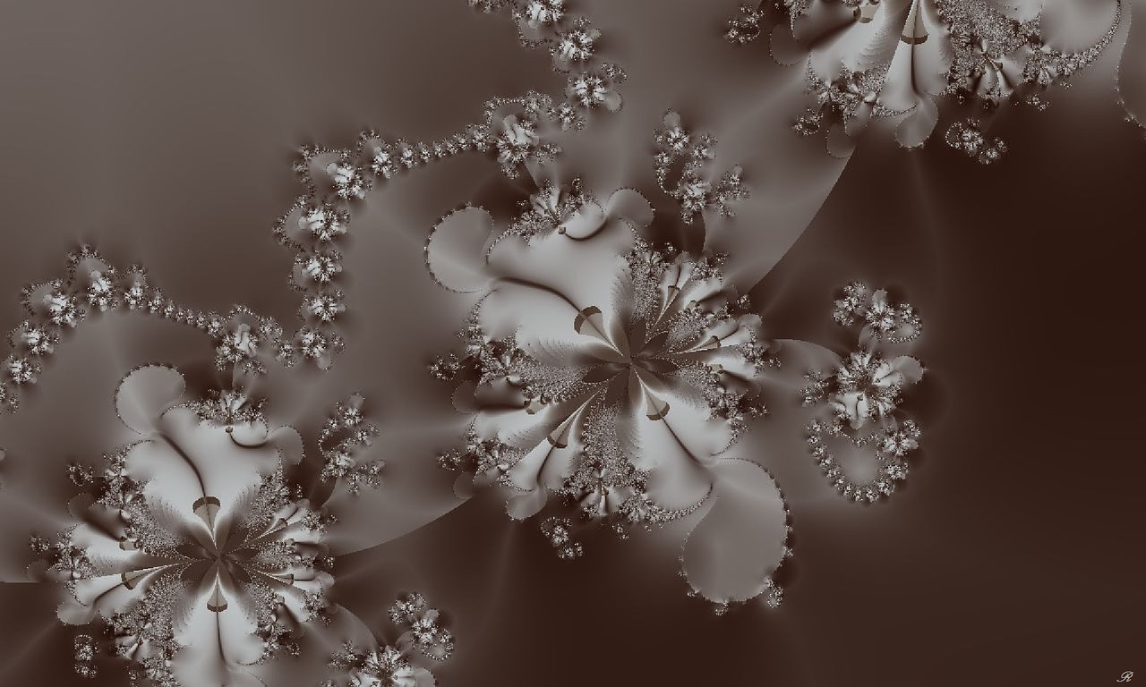 情感与幻想交织之美,动漫中的爱情故事