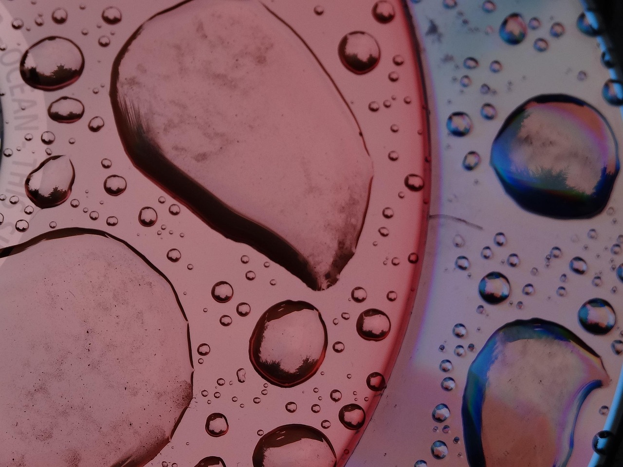 最新病毒传播情况分析报告概览