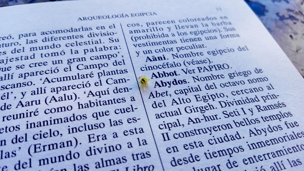 最新歌词佳作,音乐创作的璀璨明珠