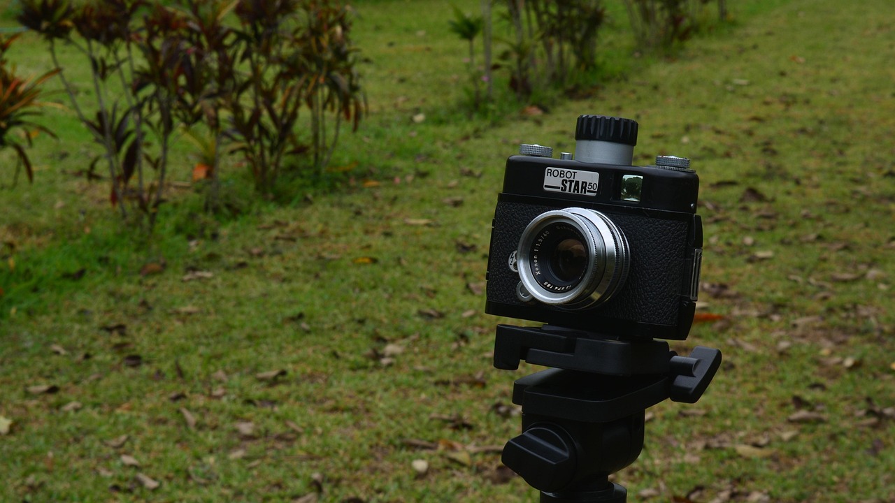 王诗婷最新动态,闪耀之星的新征程启程