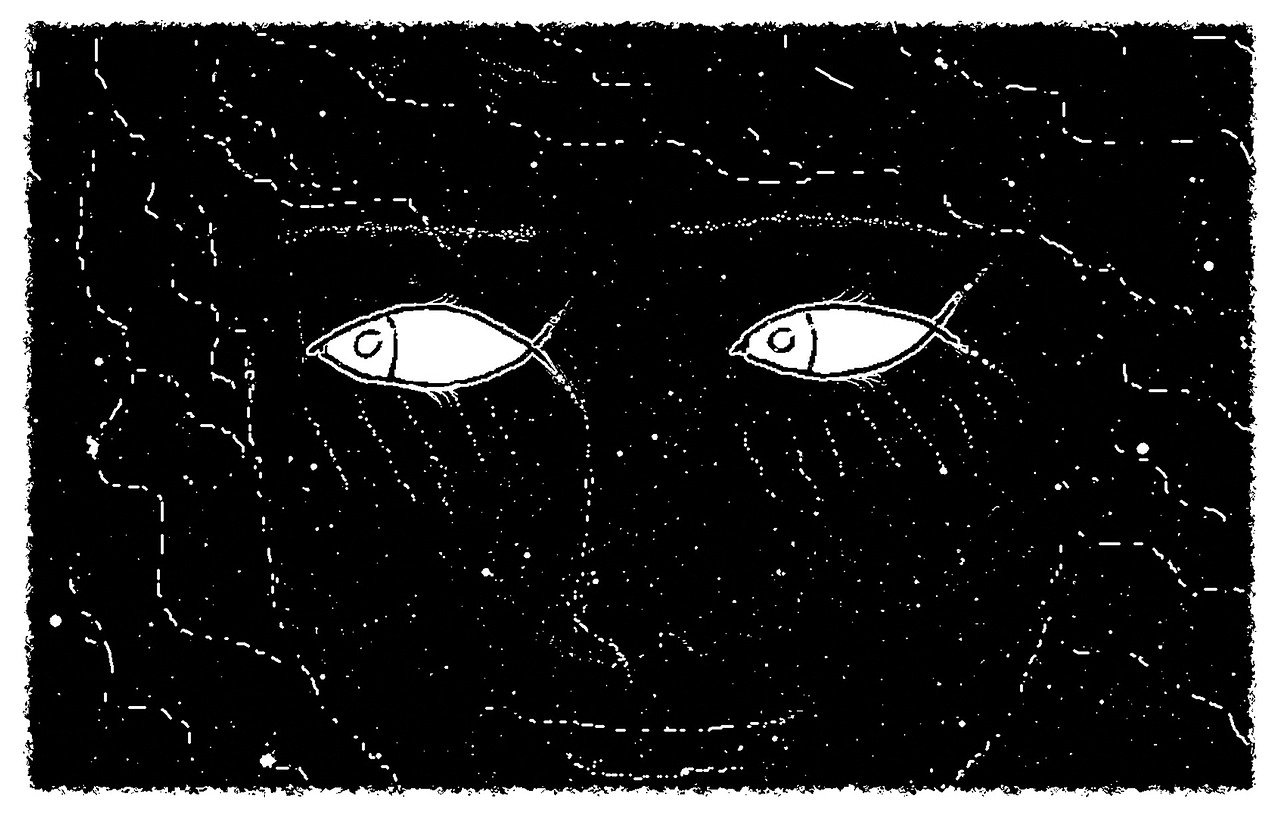 动漫眼睛绘画教程,掌握角色眼神魅力的步骤指南